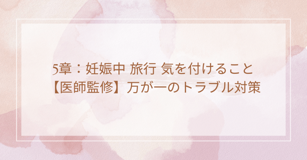 5章：妊娠中 旅行 気を付けること【医師監修】万が一のトラブル対策